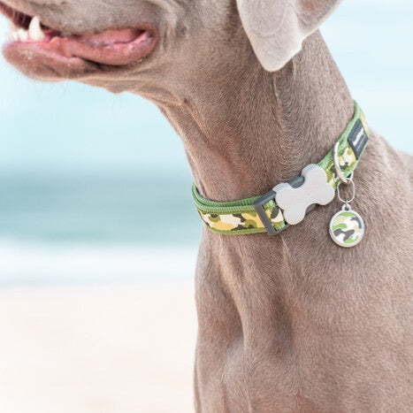 Red Dingo Collar Hot Pink Camouflage All Things Canine