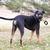 KONG Jaxx Triple Barrel