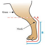Walkin Fit Adjustable Splint