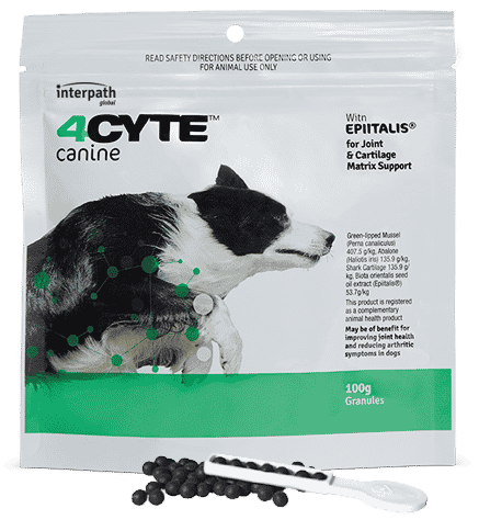 4Cyte Canine Joint & Cartilage Matrix Support