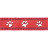 Red Dingo Collar Red Desert Paws