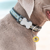 Red Dingo Collar Black Bumble Bee