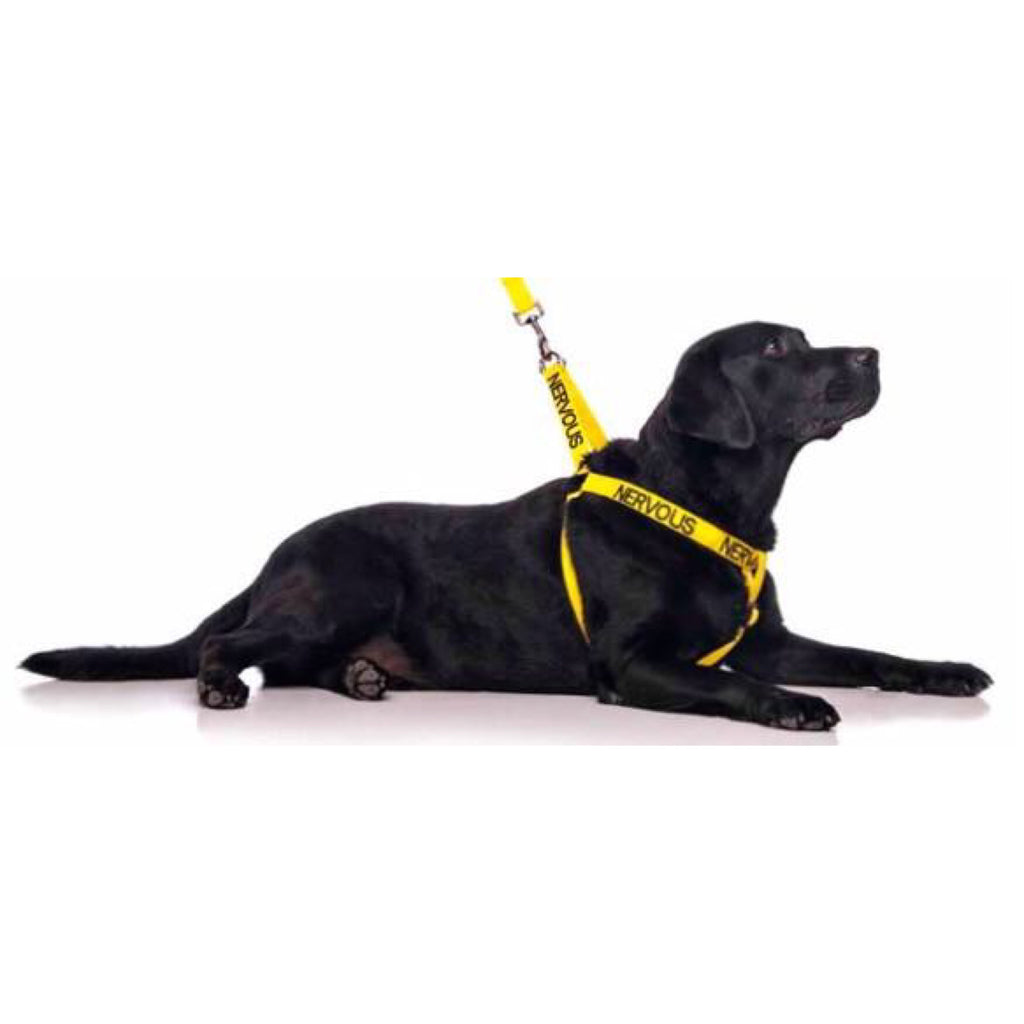 Friendly Dog Collars Nervous Harness