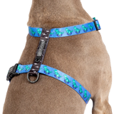 Big & Little Dogs Harness Strap Rawr
