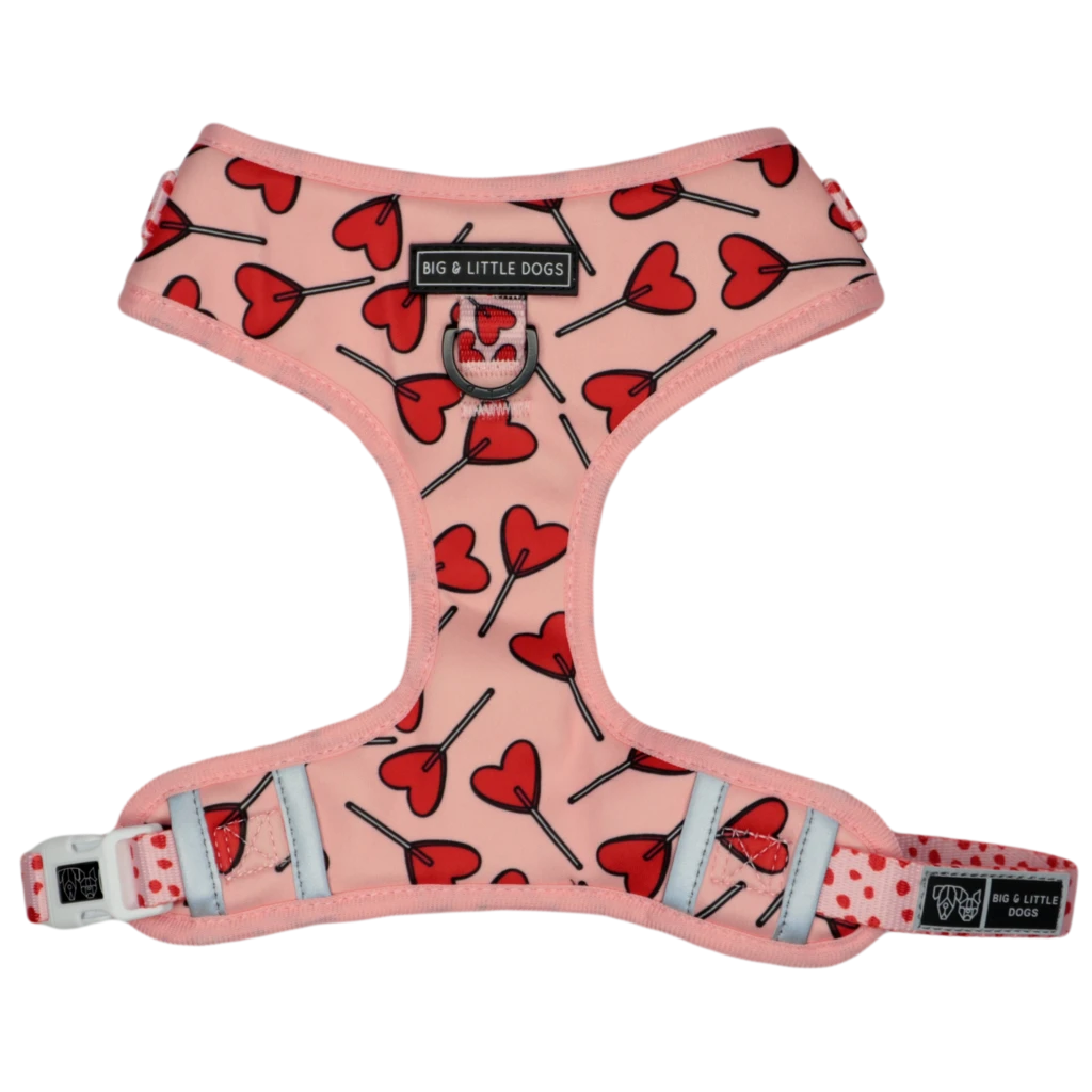 Big & Little Dogs Harness Adjustable Sucker For Love