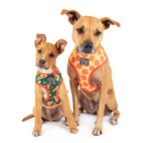 Big & Little Dogs Harness Reversible Pupperoni Pizza