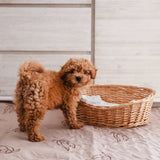 Conni Critters Pet Pad