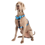 Big & Little Dogs Harness Strap Rawr