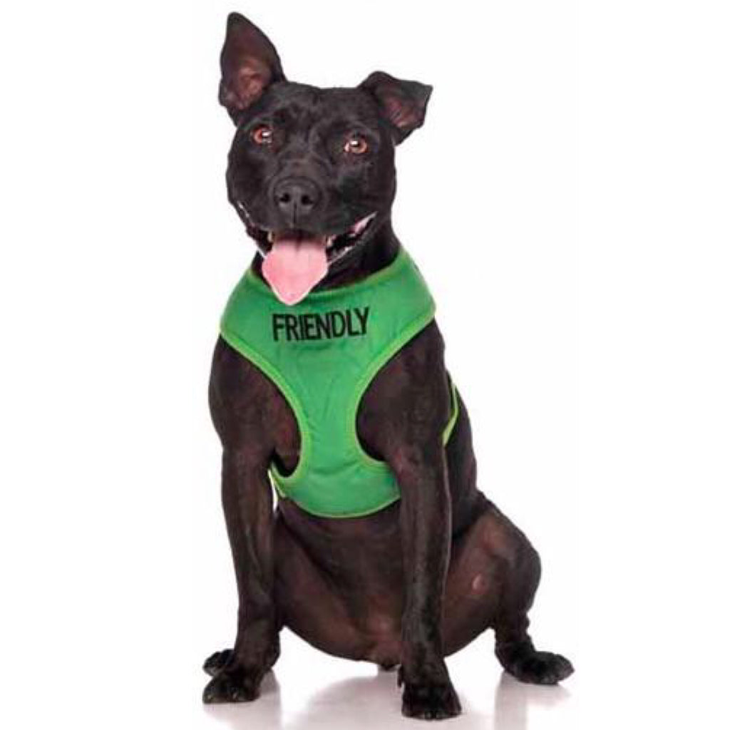 Friendly Dog Collars Friendly Vest Harness