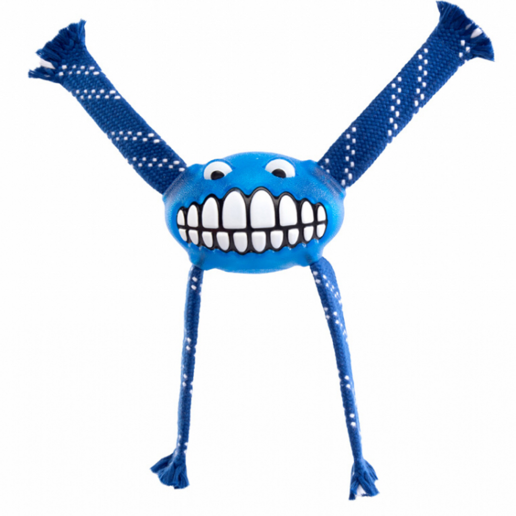 Rogz Flossy Grinz Blue