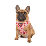 Big & Little Dogs Harness Adjustable Sucker For Love