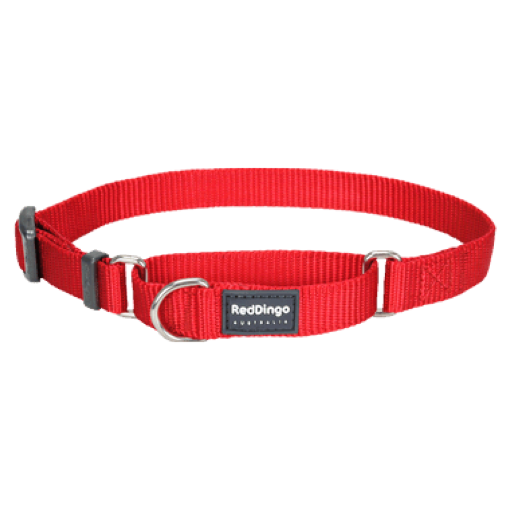Red Dingo Collar Classic Martingale Red