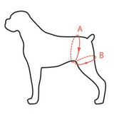 Walkin Pets Walkabout Rear Harness Measure Guide