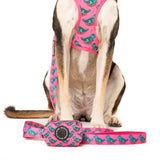 Big & Little Dogs Poop Bag Holder Princess-asurus