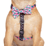Big & Little Dogs Harness Strap Princess-asurus