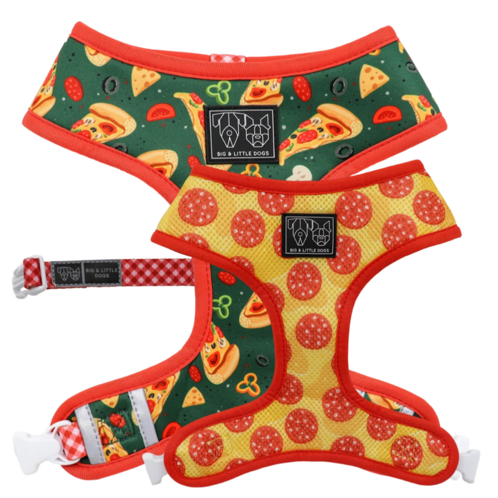 Big & Little Dogs Reversible Pupperoni Pizza
