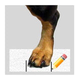 Walkin Pet Boots Sizing Guide