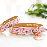 Pawfect Pals PU Leather Collar You Give Me Butterflies
