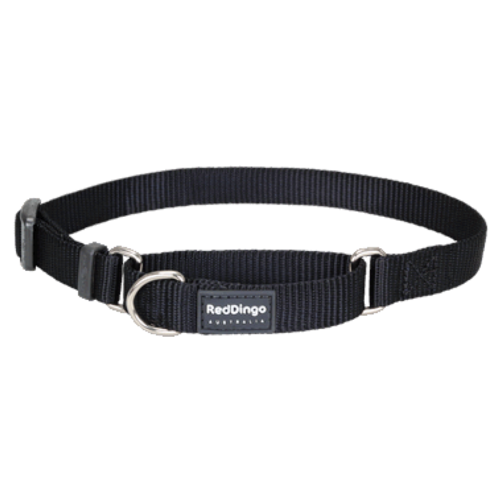 Red Dingo Collar Classic Martingale Black