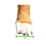 Walkin Front Splint Measuring Guide For C