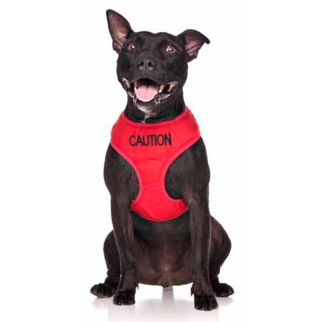 Friendly Dog Collars Caution Vest Harness