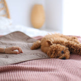 Conni Critters Pet Pad