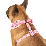 Big & Little Dogs Harness Adjustable Sucker For Love