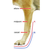 Walkin Front Splint Measuring Guide for A & B