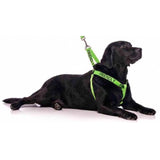 Friendly Dog Collars Friendly Strap Harness