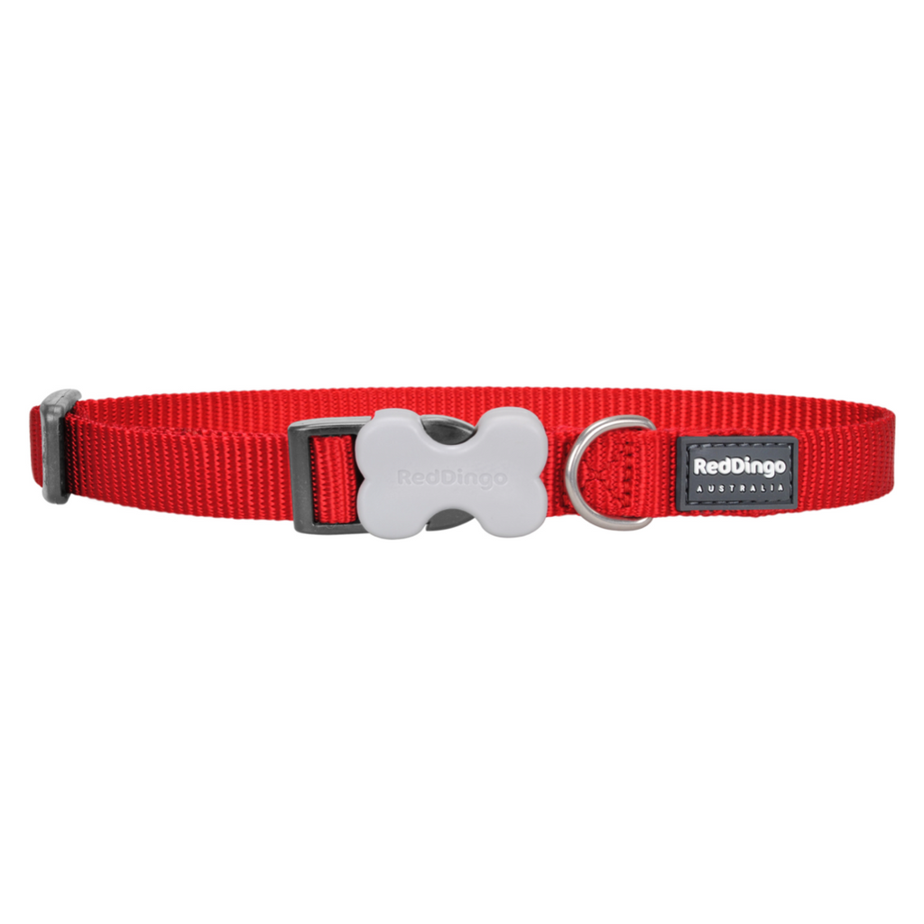 Red Dingo Classic Collar Red
