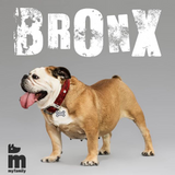 My Family Bronx ID Tag Charm Rhombus