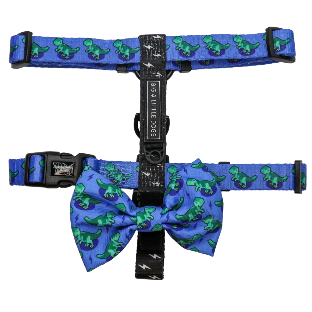 Big & Little Dogs Harness Strap Rawr