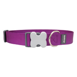 Red Dingo Classic Collar Purple