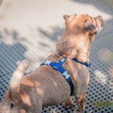 Red Dingo Classic Adjustable Harness Dark Blue