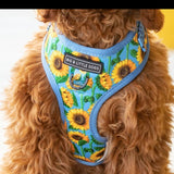 Big & Little Dogs Harness Adjustable Hello Sunshine