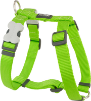 Red Dingo Classic Adjustable Harness Lime Green