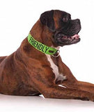 Friendly Dog Collars Friendly Semi Slip Collar
