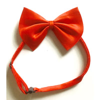 Dog Bless You Bow Tie Red S-M