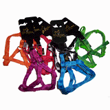 Pet Designz Bubbles Printed Harness Range