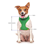 Friendly Dog Collars Friendly Harness