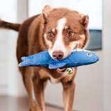 Red Dingo Durables Steve the Shark