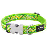 Red Dingo Collar Lime Green Flanno