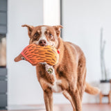 Red Dingo Durables Eddie the Echidna