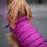 Red Dingo Puffer Jacket Reversible Purple / Hot Pink