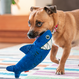Red Dingo Durables Steve the Shark