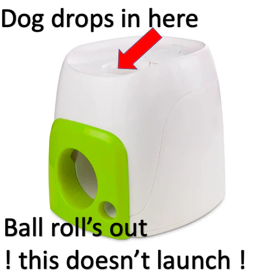 All For Paws Interactives Fetch N Treat All Things Canine