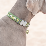 Red Dingo Collar 