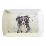 Man’s Best Friend Single Serving Tray Border Collie