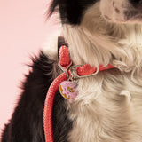 My Family ID Tag Charm Food Donut