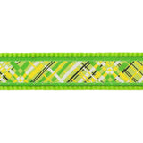 Red Dingo Collar Lime Green Flanno